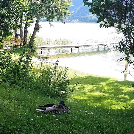 Ilse Seeblick Haus Haensel U Gretel Am Ossiacher See, Hallenbad, Skiarena Gerlitzen
